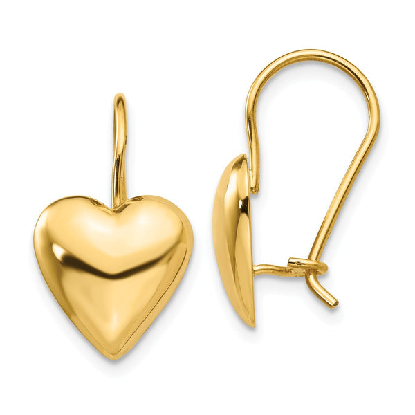 Polished,14K Yellow Gold,Kidney Wire