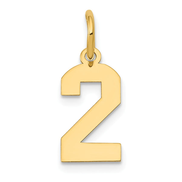 Polished,14K Yellow Gold,Laser-Cut