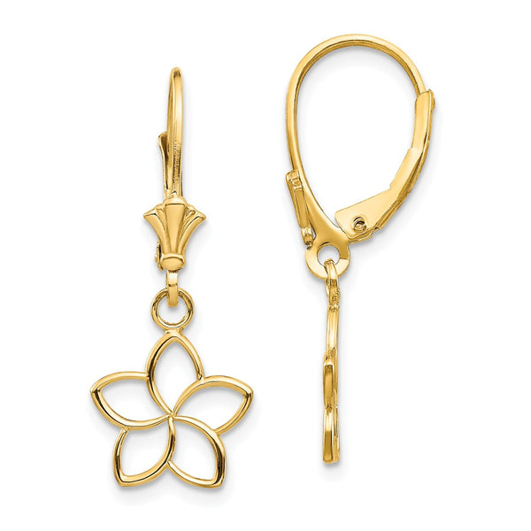 Polished,14K Yellow Gold,Leverback,Dangle