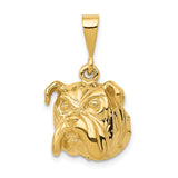 Solid,Casted,Polished,Satin,14K Yellow Gold,Open Back,Textured