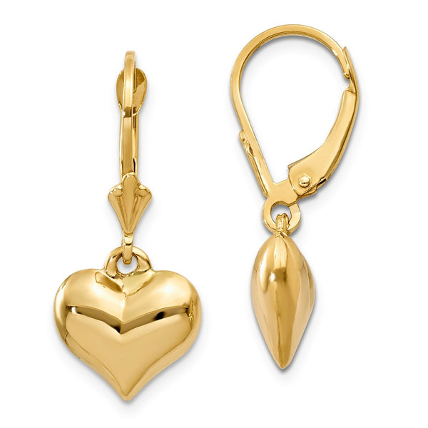 Polished,3-D,14K Yellow Gold,Hollow,Leverback
