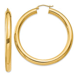 Earrings,Hoop,Gold,Yellow,14K,50 mm,5 mm,Pair,Wire & Clutch,Hoop,Above $600