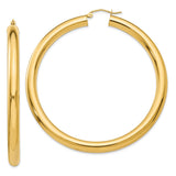 Earrings,Hoop,Gold,White,14K,60 mm,5 mm,Pair,Rhodium,Wire & Clutch,,Hoop,Above $600