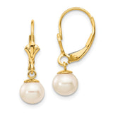Polished,14K Yellow Gold,Leverback,Genuine,Freshwater Cultured Pearl,Dangle